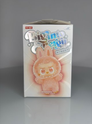 Labubu ID secret edition pop mart + protezione