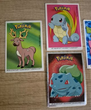 Cromos Pokémon New Characters to collect Boomer