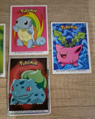 Cromos Pokémon New Characters to collect Boomer