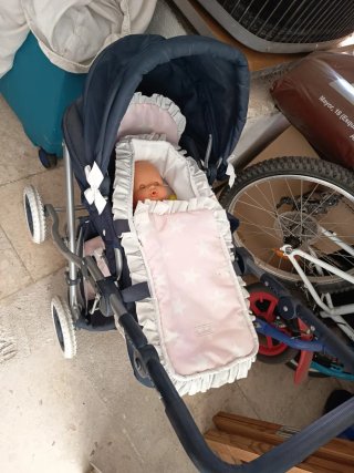 Carrito de muñecas con capazo y accesorios
