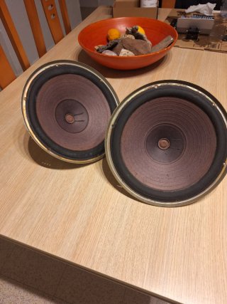 Roselson woofer 10 Pulgadas(dos unidades)altavoces