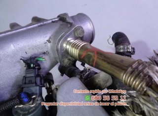 Motor fiat 182b4000 brava 1.9 jtd cat r Ref:124695