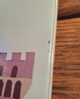 Libro "Il mio dizionario a colori" italiano ingles