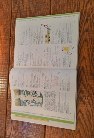 Libro "Il mio dizionario a colori" italiano ingles