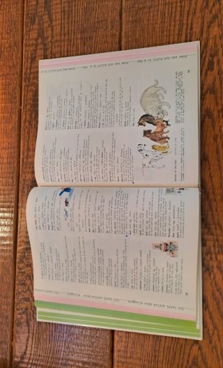 Libro "Il mio dizionario a colori" italiano ingles