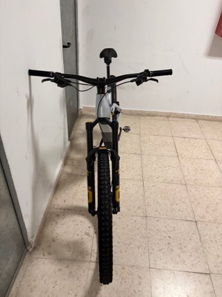 Bicicleta Orbea Wild M20 Silver Tanzanite”CARBONO”