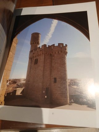 Palacios y Alcazares de España.