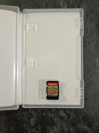 Minecraft Nintendo Switch