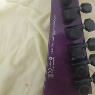 ESP LTD H3-1000 Guitarra Elétrica Roxa
