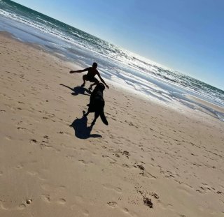 Paseador de perros Villaverde Alto y alrededores