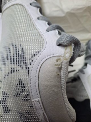 Zapatillas Nike LeBron Wittness VIII Gris/Blanco