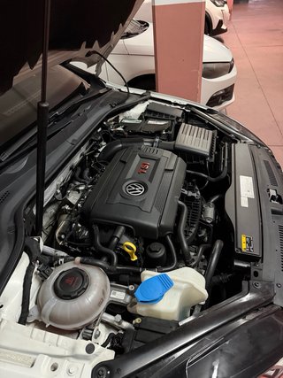 Golf  GTI TCR 2019
