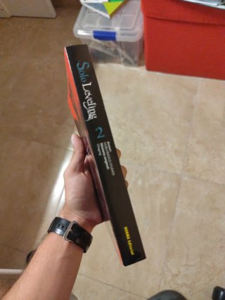 SOLO LEVELING 02