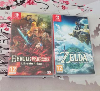Zelda Tears of the Kingdom y Hyrule Warriors