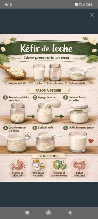 Kéfir búlgaro para preparar en casa