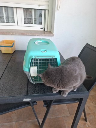 Transportín para mascotas