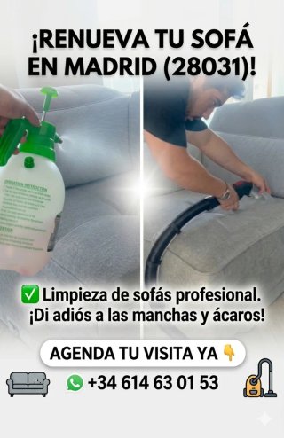 Multiservicios Hogar Madrid - Limpieza Sofá