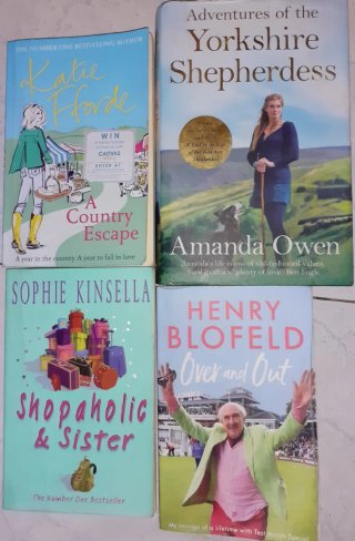 Lote libros en inglés