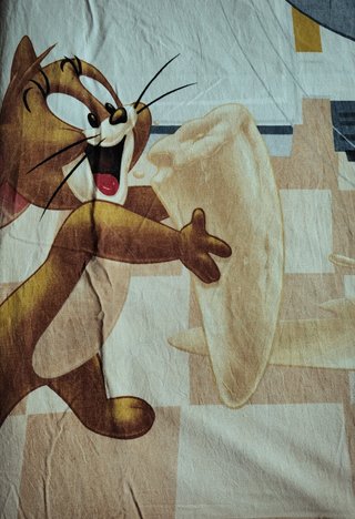 Ropa de cama infantil Tom & Jerry