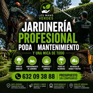 Servicios de Jardinería Profesional