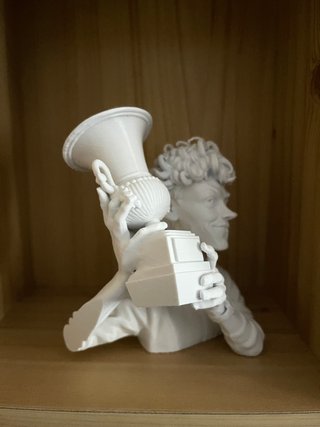 Jannik Sinner - Figure 3D - Bust  "Tennis Edition"