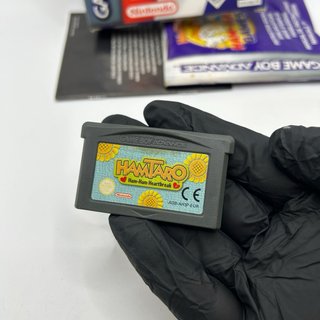 Hamtaro Ham-Ham Games & Heartbreak GBA