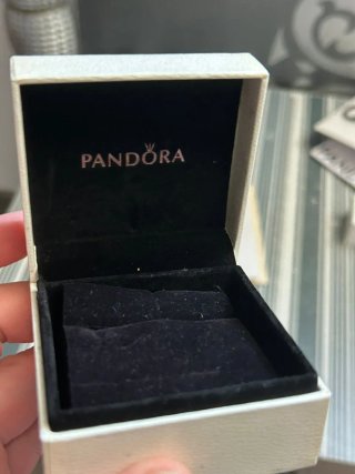 Lote 2 cajas y bolsas Pandora