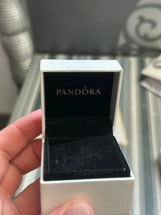 Lote 2 cajas y bolsas Pandora