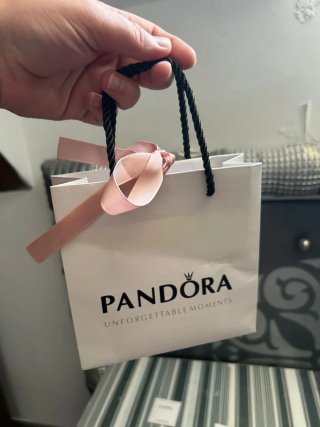 Lote 2 cajas y bolsas Pandora