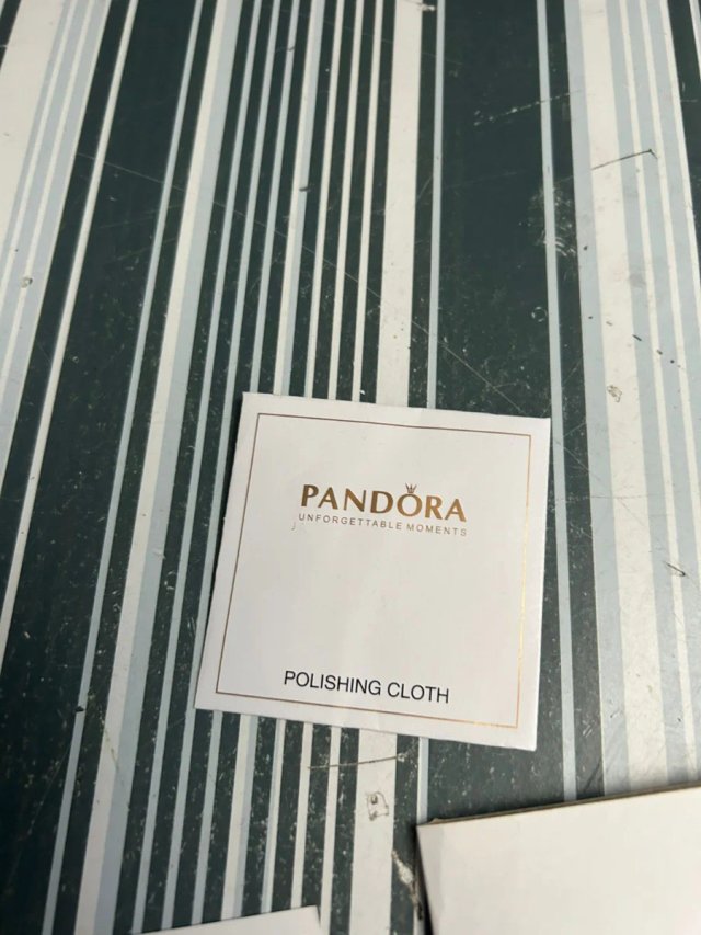Lote 2 cajas y bolsas Pandora