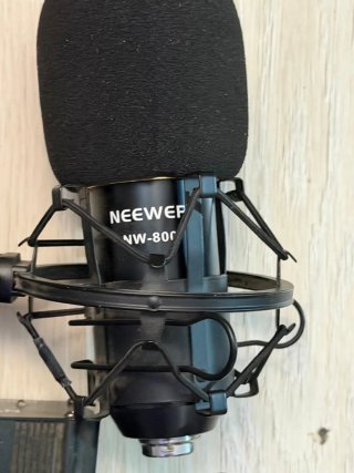 Micrófono Neewer NW-800 con Shock Mount