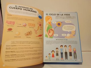 Libro + Puzzle "Todo sobre el cuerpo humano"