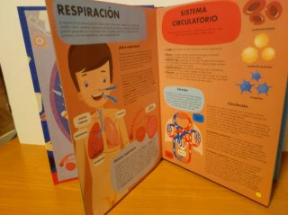 Libro + Puzzle "Todo sobre el cuerpo humano"