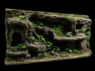 Fondo Terrario/Acuario 3D