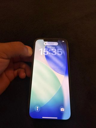 iPhone 12 Pro Max Argento