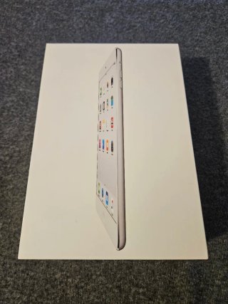 iPad mini 2