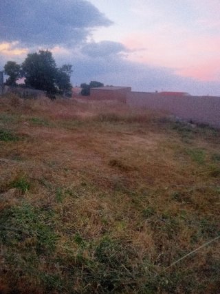 Limpieza de parcela