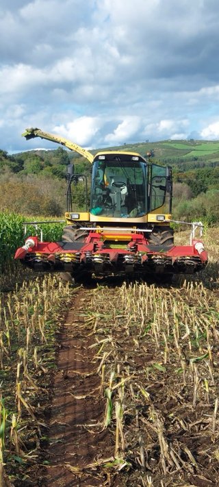 Picadora New Holland FX 375