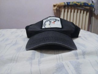 2 Gorras con parches de animales