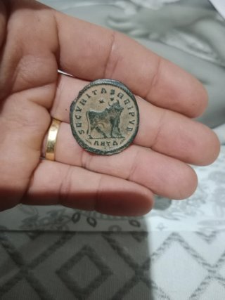 Moneda Romana Antigua Toro SECYRHITASP