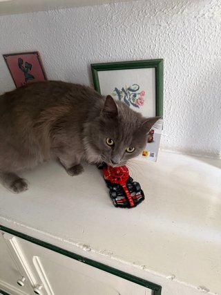 Lego Ferrari SF24