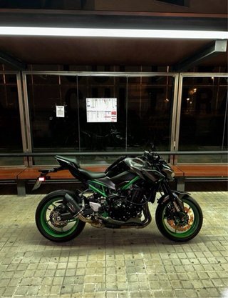 Cola de Escape GPR Z900
