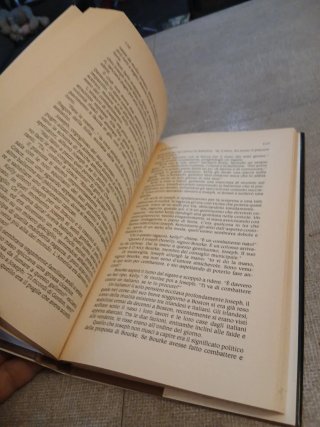 Libro Cuori Ribelli di Sonja Massie