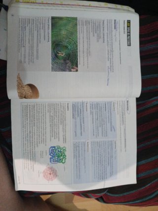 Proyecto: FanFest - Biología 2 Bachillerato