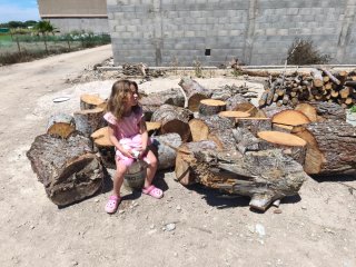 Madera de pino gratis