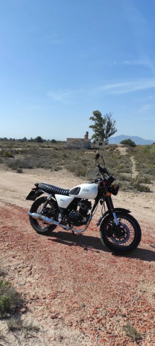 Setter Fénix 125 Blanca y Negra