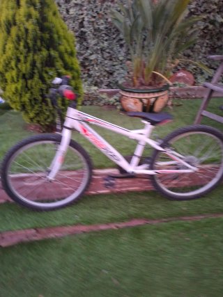 Bicicleta Infantil Freerider 24