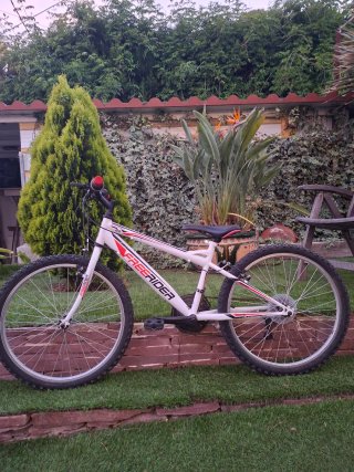 Bicicleta Infantil Freerider 24