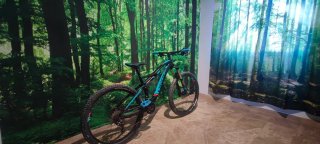 Orbea Occam AM