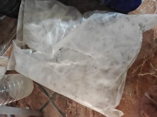 Cuñas para nivelar baldosas PEYGRAN